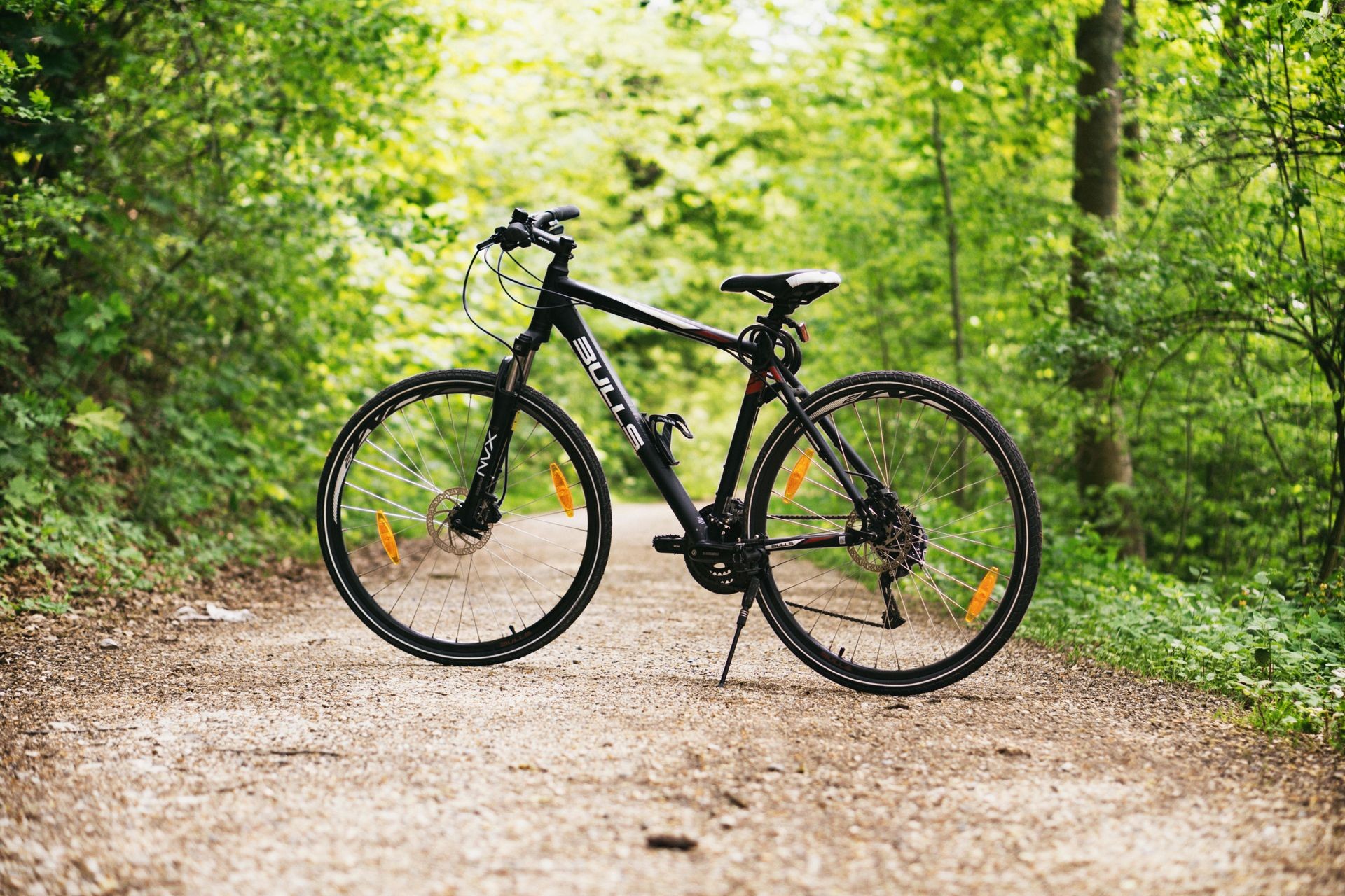 Black bicycle with disc brakes standing on a gravel path surrounded by lush green forest.